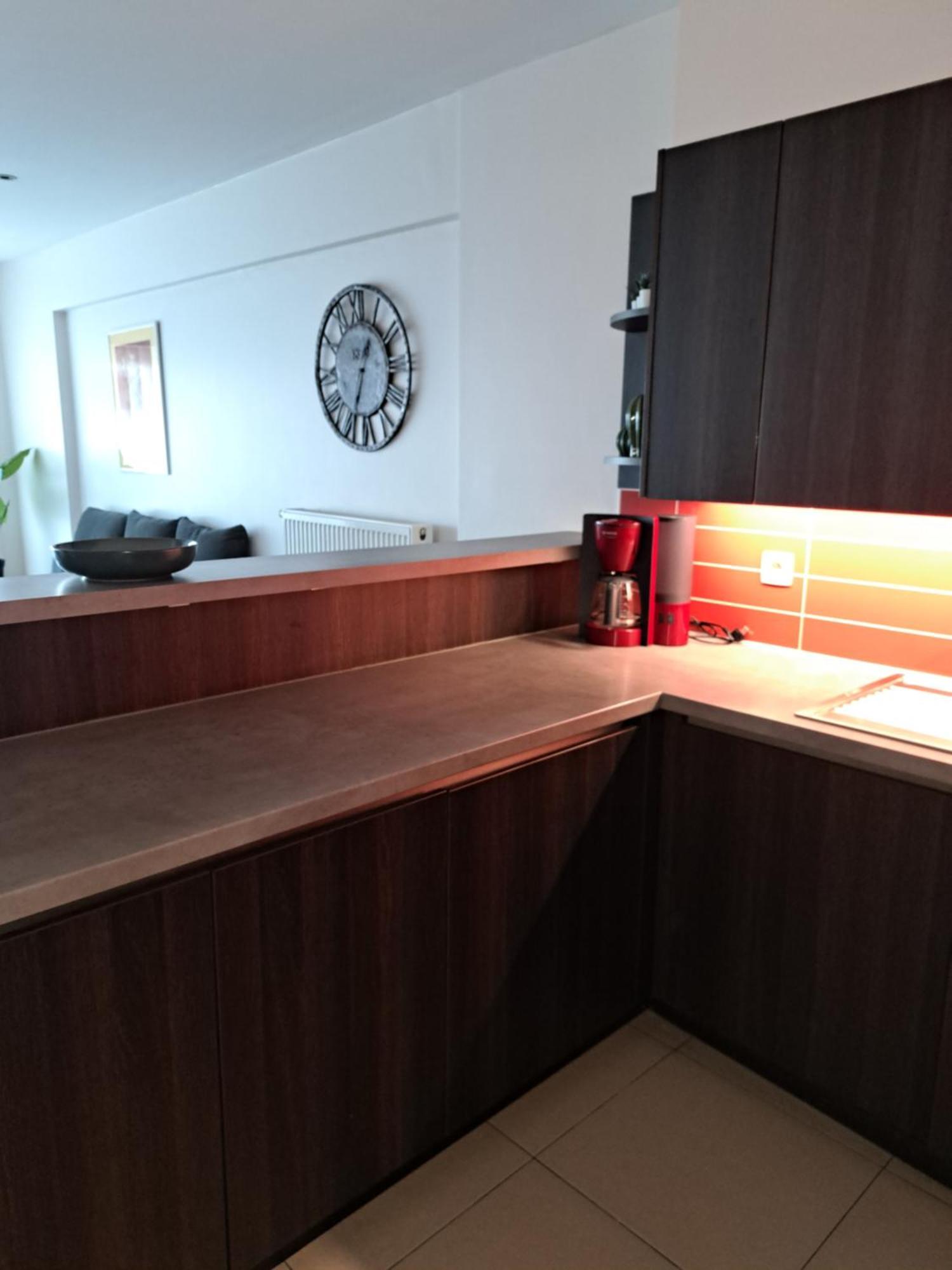 Appartement Borealis 布兰肯贝赫 外观 照片